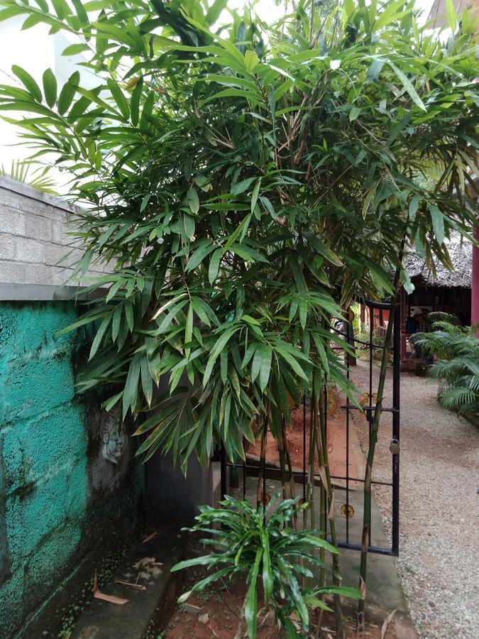 Mango Palace Otel Varkala Dış mekan fotoğraf